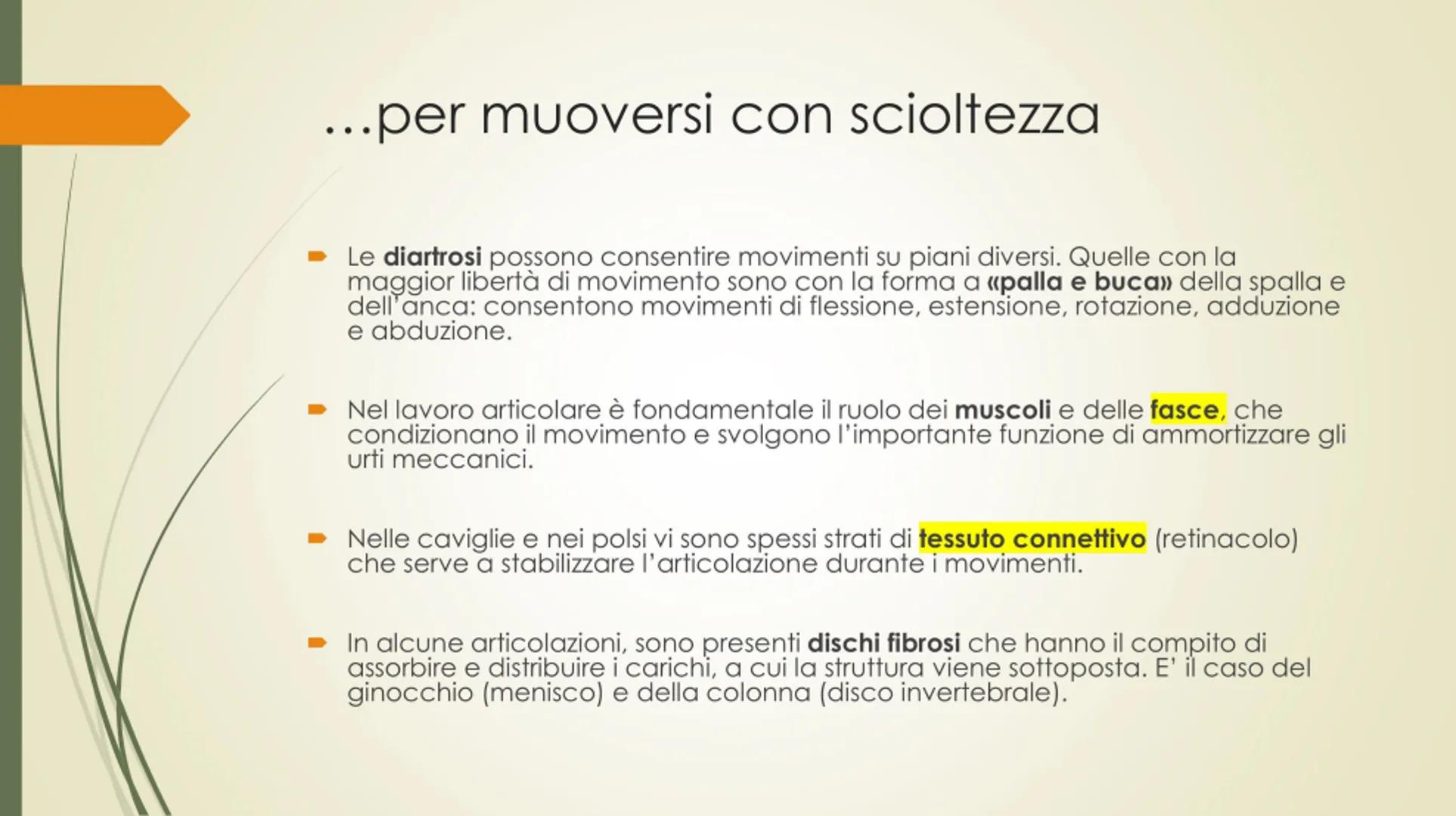 
<p>Il nostro corpo è sostenuto e protetto da una struttura chiamata scheletro, composta da un totale di 206 ossa collegate tra loro da arti