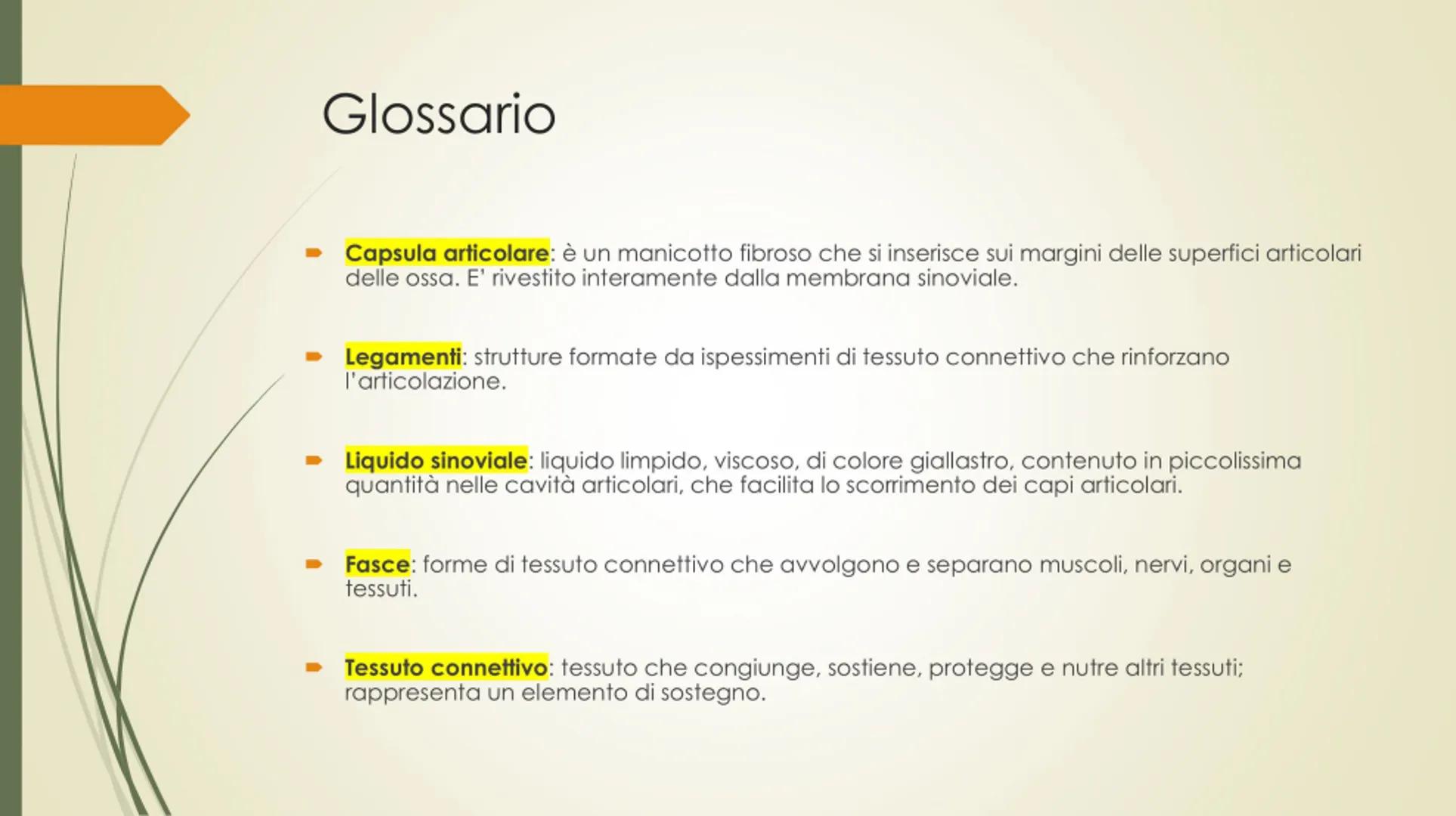 
<p>Il nostro corpo è sostenuto e protetto da una struttura chiamata scheletro, composta da un totale di 206 ossa collegate tra loro da arti