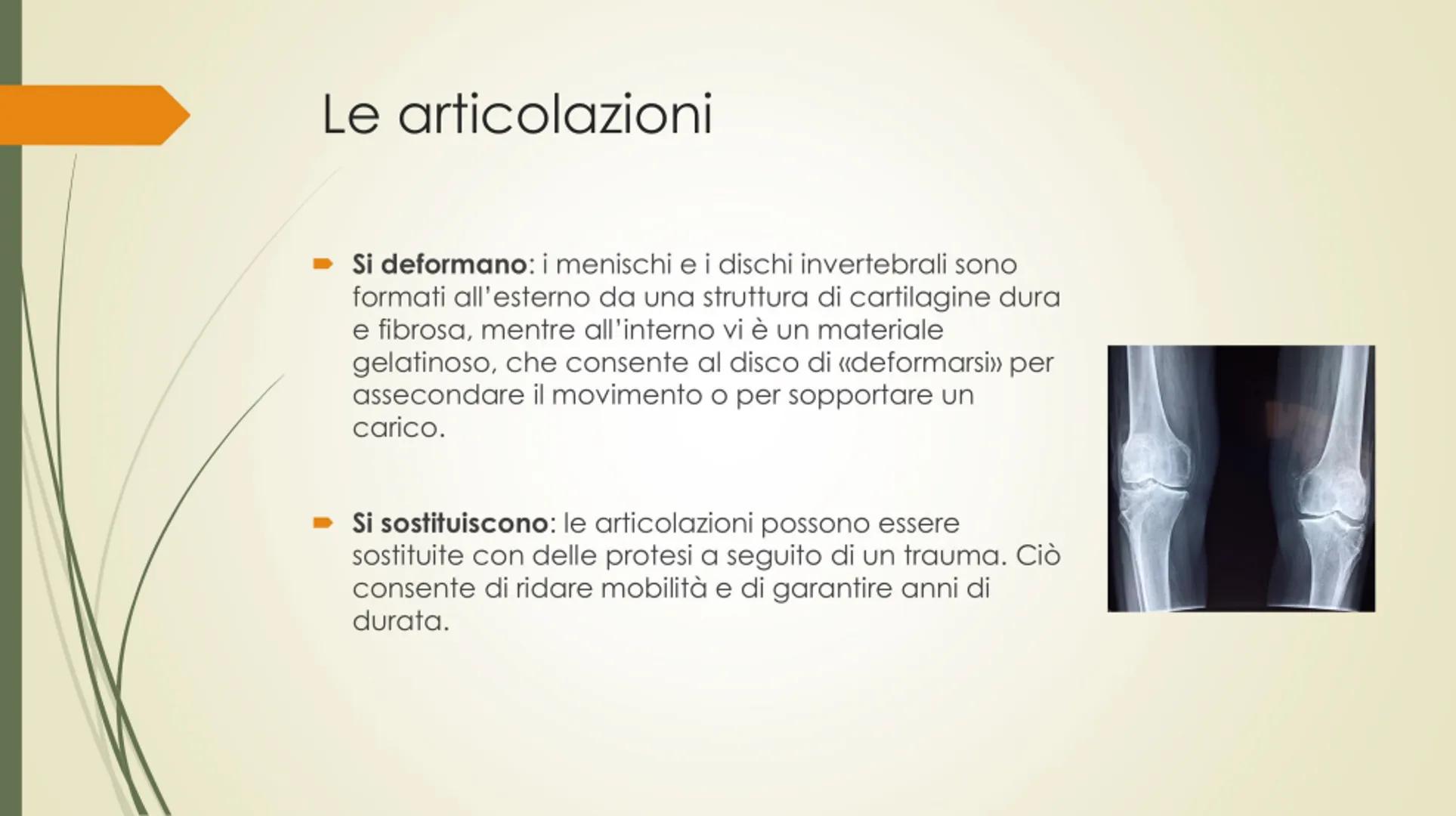 
<p>Il nostro corpo è sostenuto e protetto da una struttura chiamata scheletro, composta da un totale di 206 ossa collegate tra loro da arti