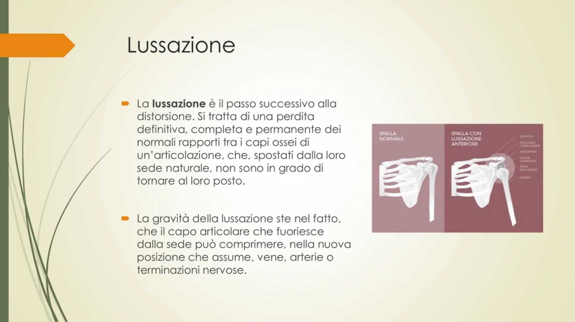 
<p>Il nostro corpo è sostenuto e protetto da una struttura chiamata scheletro, composta da un totale di 206 ossa collegate tra loro da arti