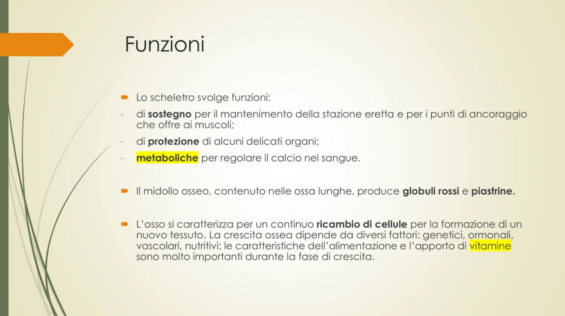 
<p>Il nostro corpo è sostenuto e protetto da una struttura chiamata scheletro, composta da un totale di 206 ossa collegate tra loro da arti