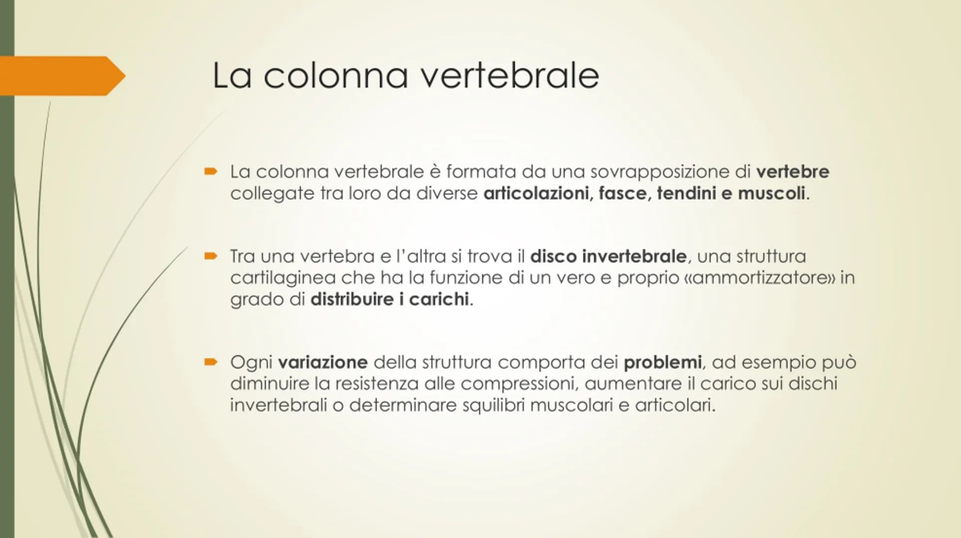 
<p>Il nostro corpo è sostenuto e protetto da una struttura chiamata scheletro, composta da un totale di 206 ossa collegate tra loro da arti