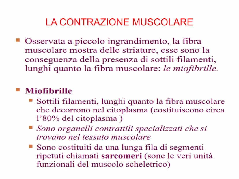 Il sistema muscolare è l'insieme di tutti
i muscoli, ovvero degli organi attivi del
movimento; essi sviluppano una forza
in grado di permett