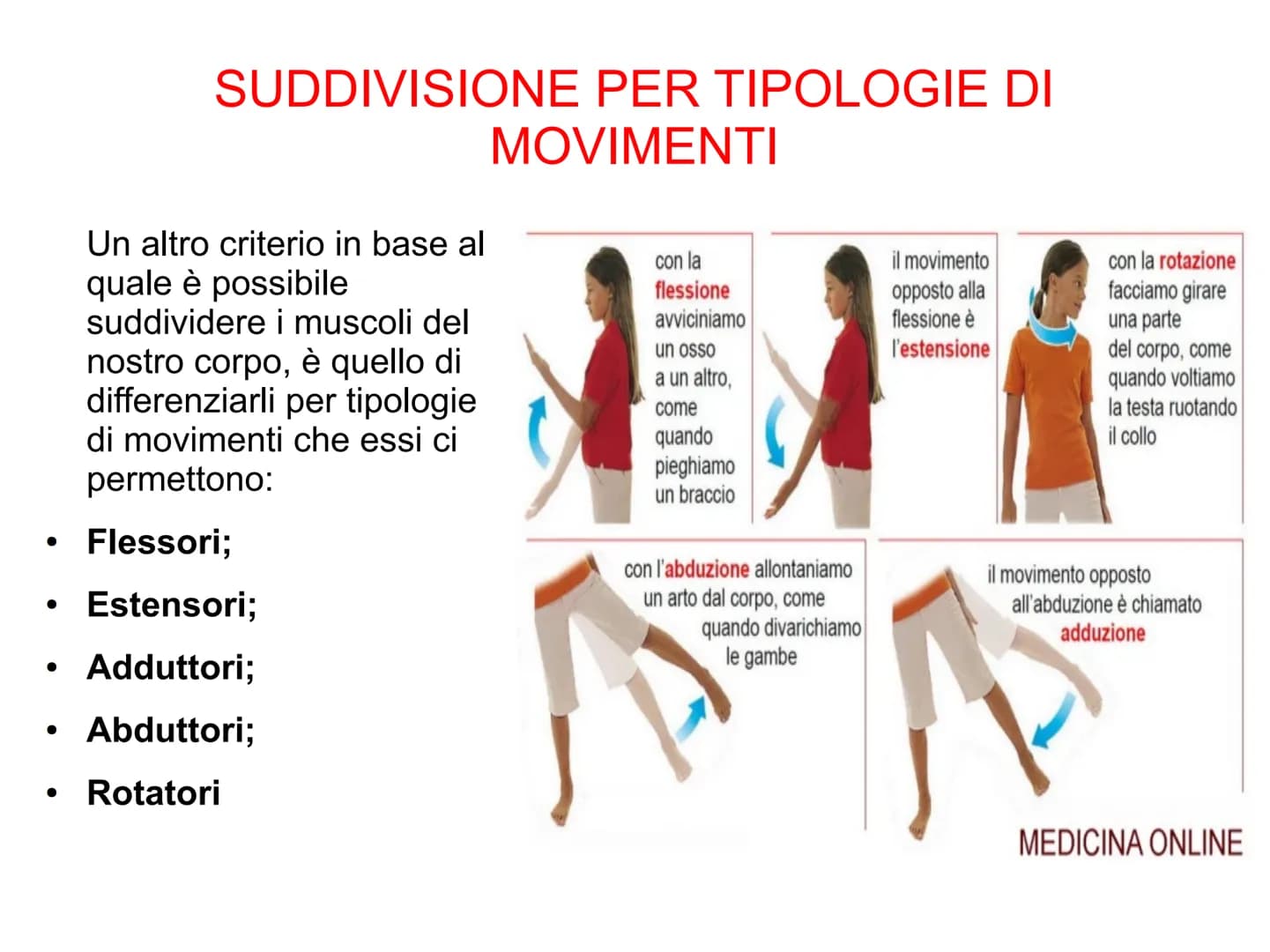Il sistema muscolare è l'insieme di tutti
i muscoli, ovvero degli organi attivi del
movimento; essi sviluppano una forza
in grado di permett