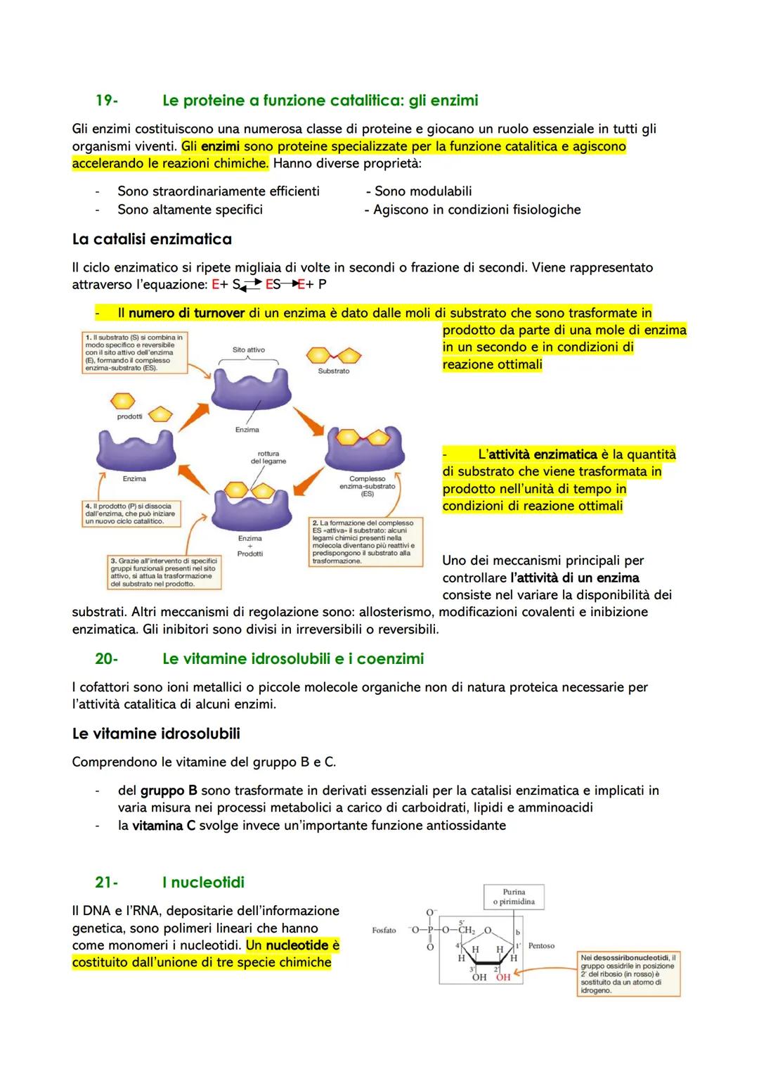 Le biomolecole: struttura e funzione
1- Dai polimeri alle biomolecole
Le biomolecole sono molecole che svolgono un ruolo nei sistemi biologi