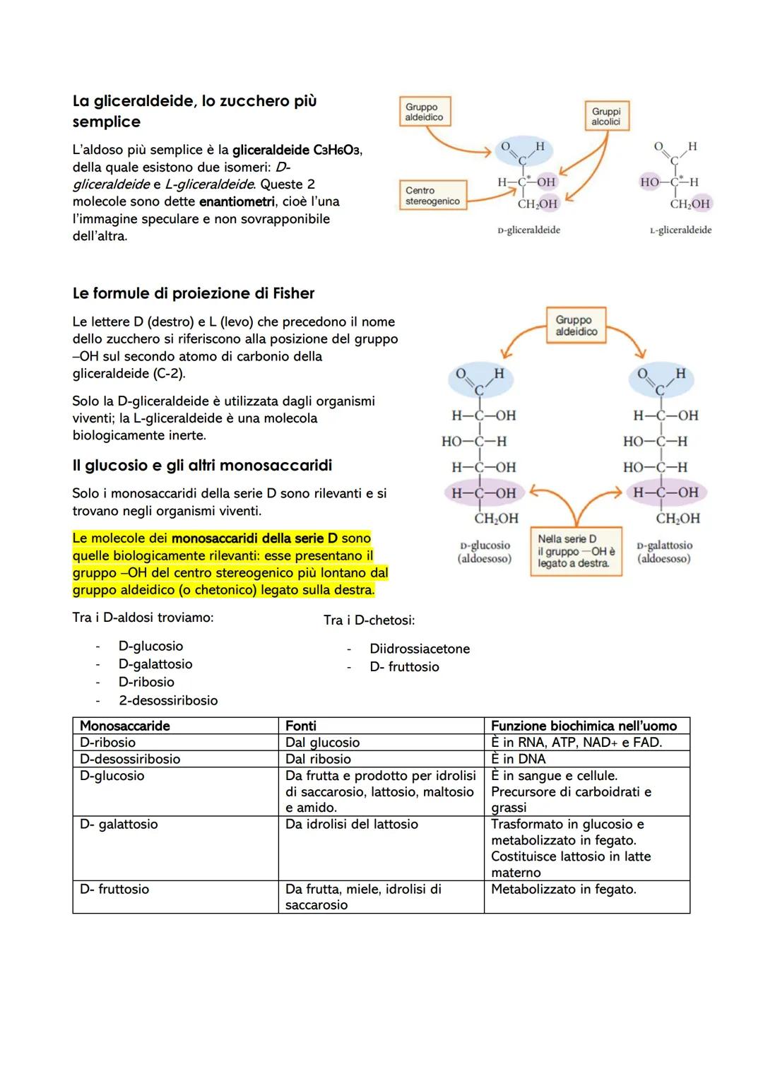 Le biomolecole: struttura e funzione
1- Dai polimeri alle biomolecole
Le biomolecole sono molecole che svolgono un ruolo nei sistemi biologi