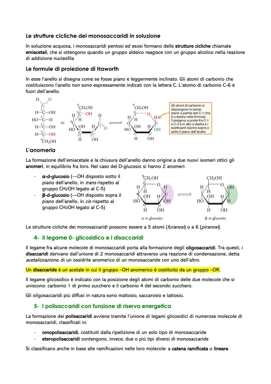 Le biomolecole: struttura e funzione
1- Dai polimeri alle biomolecole
Le biomolecole sono molecole che svolgono un ruolo nei sistemi biologi