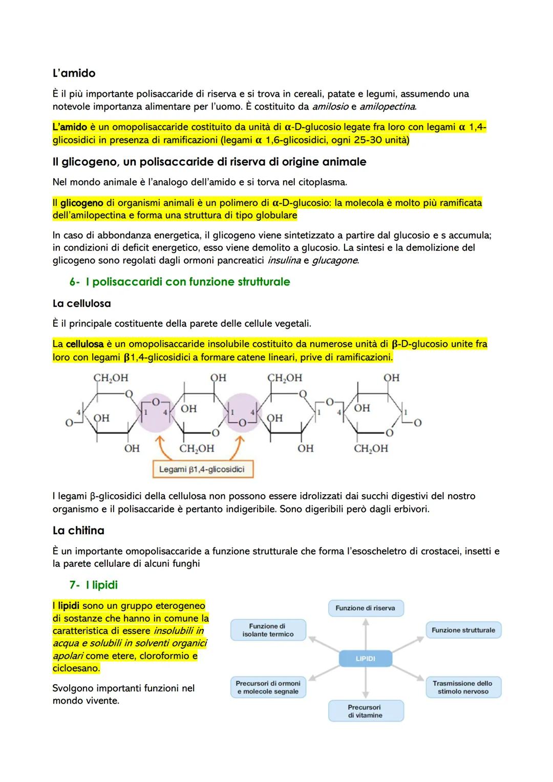 Le biomolecole: struttura e funzione
1- Dai polimeri alle biomolecole
Le biomolecole sono molecole che svolgono un ruolo nei sistemi biologi