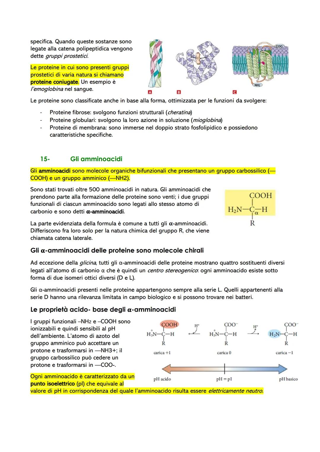 Le biomolecole: struttura e funzione
1- Dai polimeri alle biomolecole
Le biomolecole sono molecole che svolgono un ruolo nei sistemi biologi