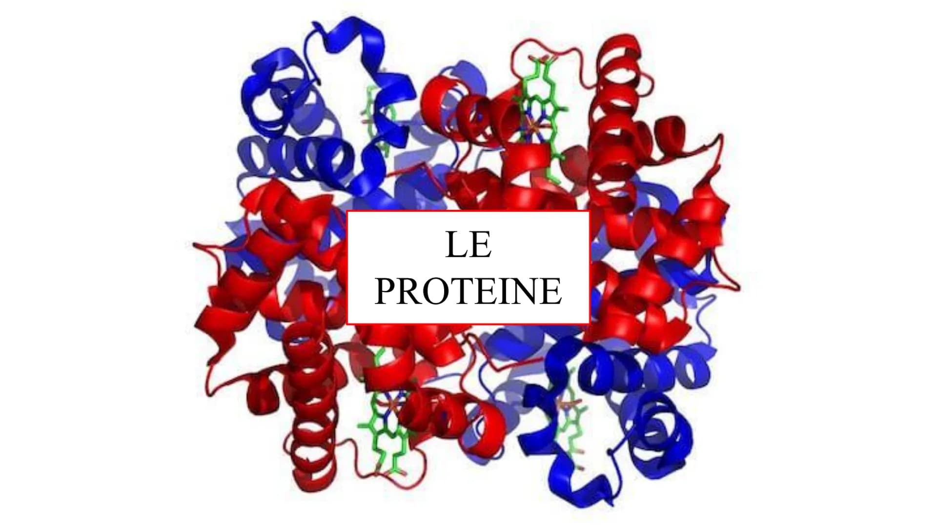 00
LE
PROTEINE AMMINOACIDI
PROTEINE
POLIMERICHE
NUCLEOTIDI
ACIDI
NUCLEICI
BIOMOLECOLE
CARBOIDRATI
SEMPLICI
CARBOIDRATI
COMPLESSI
NON POLIMER