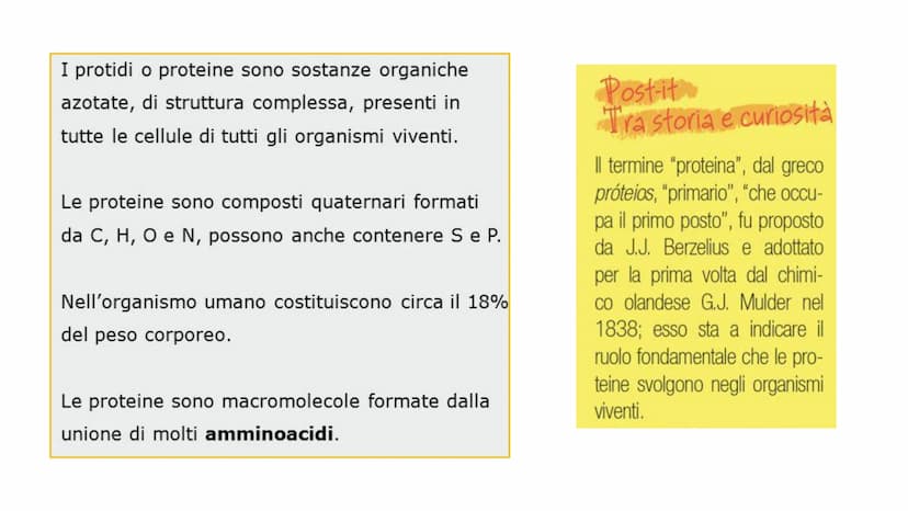 00
LE
PROTEINE AMMINOACIDI
PROTEINE
POLIMERICHE
NUCLEOTIDI
ACIDI
NUCLEICI
BIOMOLECOLE
CARBOIDRATI
SEMPLICI
CARBOIDRATI
COMPLESSI
NON POLIMER