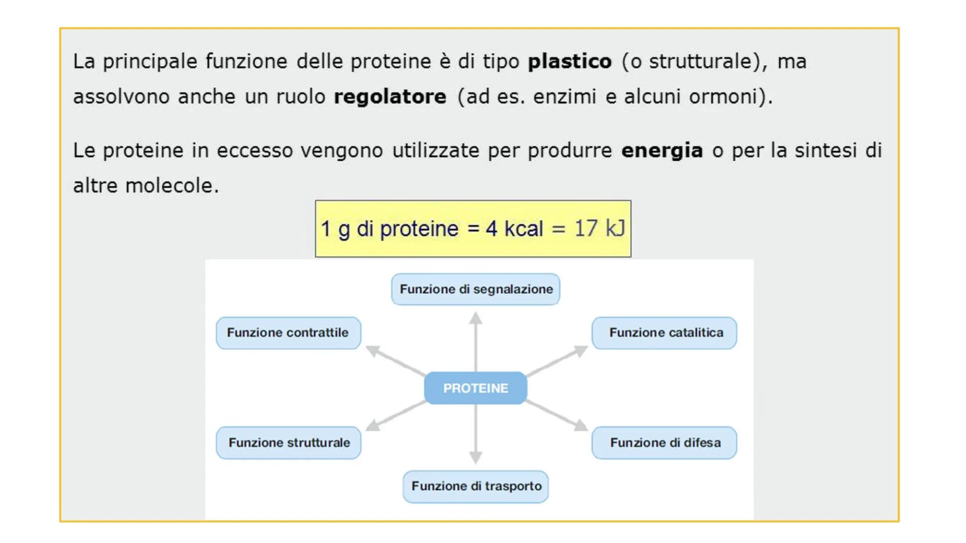 00
LE
PROTEINE AMMINOACIDI
PROTEINE
POLIMERICHE
NUCLEOTIDI
ACIDI
NUCLEICI
BIOMOLECOLE
CARBOIDRATI
SEMPLICI
CARBOIDRATI
COMPLESSI
NON POLIMER