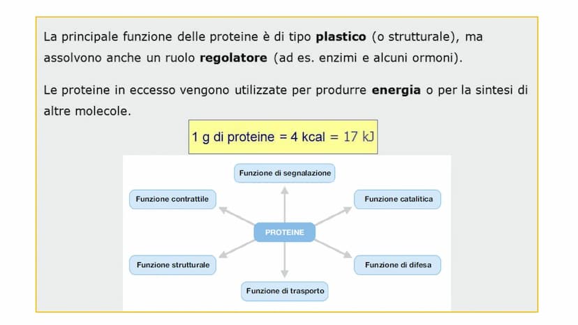 00
LE
PROTEINE AMMINOACIDI
PROTEINE
POLIMERICHE
NUCLEOTIDI
ACIDI
NUCLEICI
BIOMOLECOLE
CARBOIDRATI
SEMPLICI
CARBOIDRATI
COMPLESSI
NON POLIMER