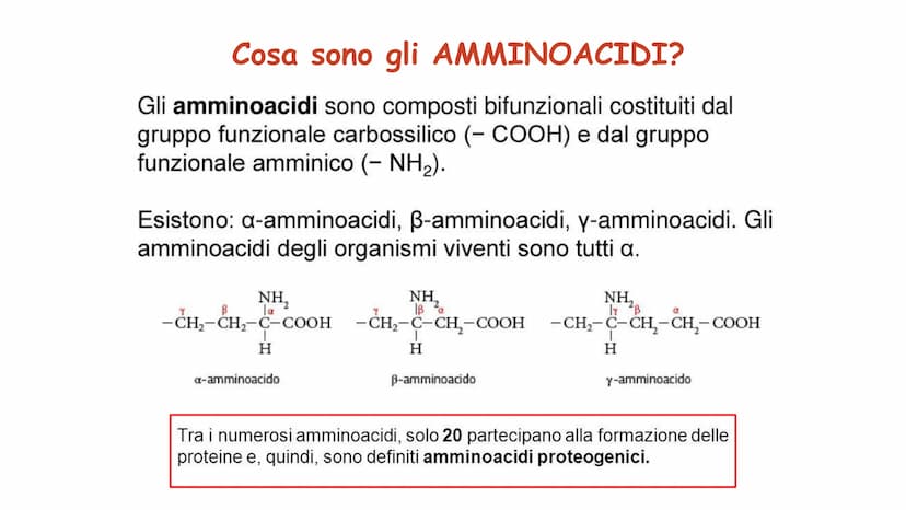 00
LE
PROTEINE AMMINOACIDI
PROTEINE
POLIMERICHE
NUCLEOTIDI
ACIDI
NUCLEICI
BIOMOLECOLE
CARBOIDRATI
SEMPLICI
CARBOIDRATI
COMPLESSI
NON POLIMER