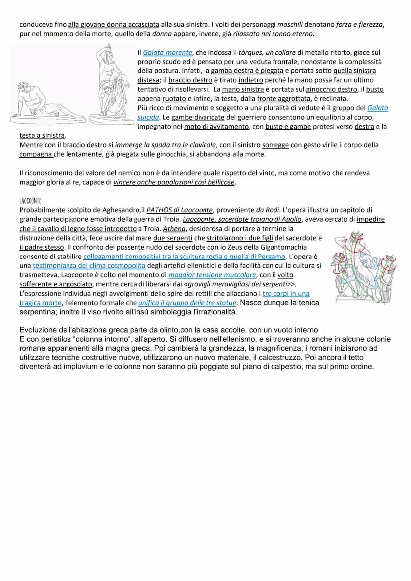 Ellenismo
La koinè: un linguaggio comune
Con le sue conquiste in Oriente e nell'Africa settentrionale, Alessandro aveva creato un grande imp