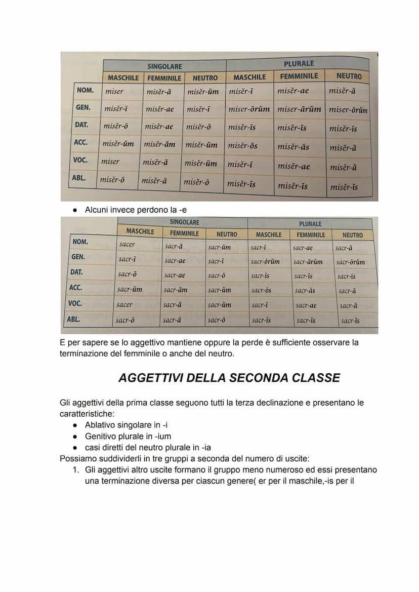 INTERROGAZIONE DI LATINO
LA PRIMA DECLINAZIONE
I nomi della prima declinazione sono per la maggior parte femminili e solo pochi
maschili; ha
