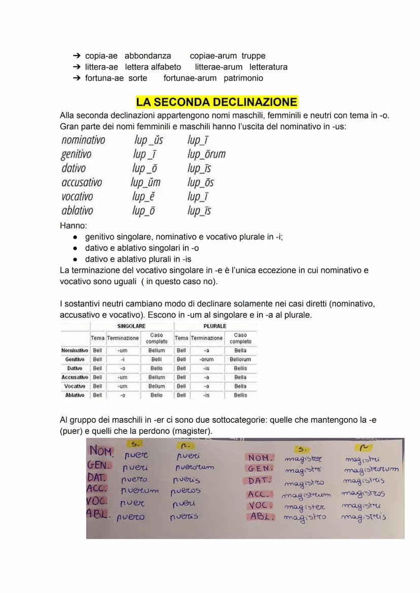 INTERROGAZIONE DI LATINO
LA PRIMA DECLINAZIONE
I nomi della prima declinazione sono per la maggior parte femminili e solo pochi
maschili; ha