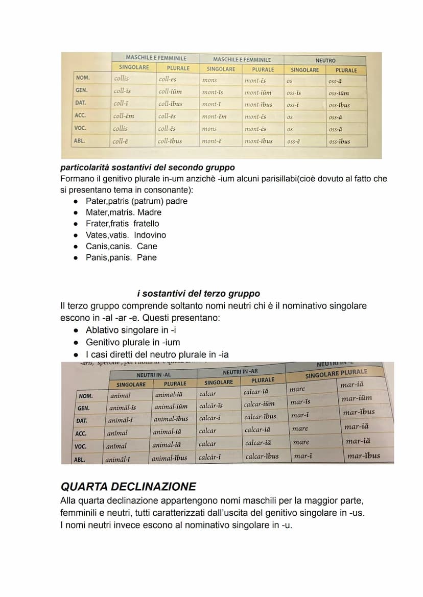 INTERROGAZIONE DI LATINO
LA PRIMA DECLINAZIONE
I nomi della prima declinazione sono per la maggior parte femminili e solo pochi
maschili; ha