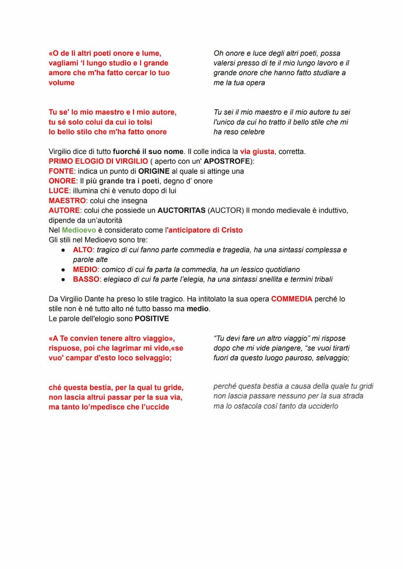 Inferno: Canto 1
È il canto proemiale a tutta l'opera, contiene la ragione per cui il viaggio si svolge e deve
dare delle informazioni su ch
