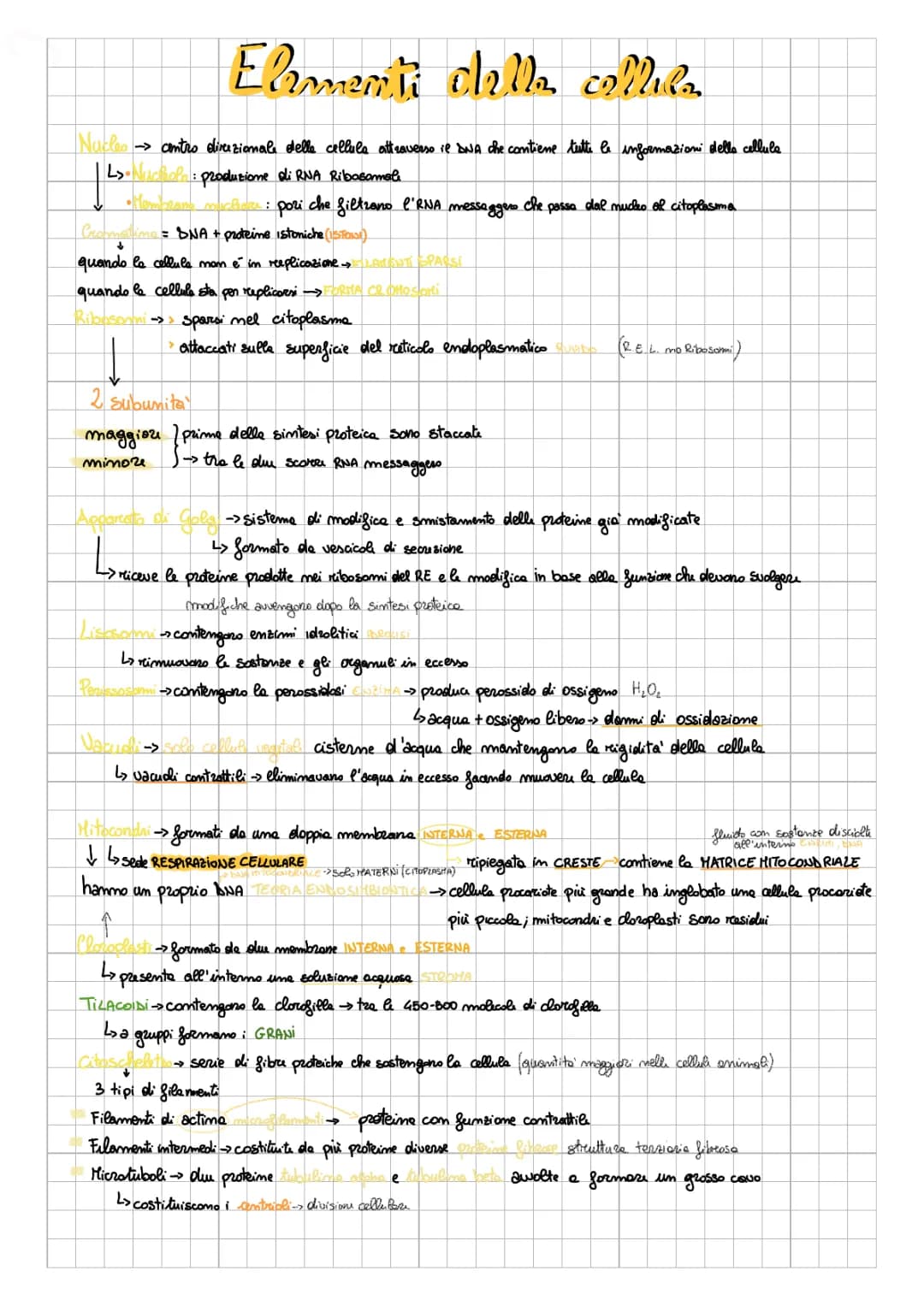 Le cellule eucariote 