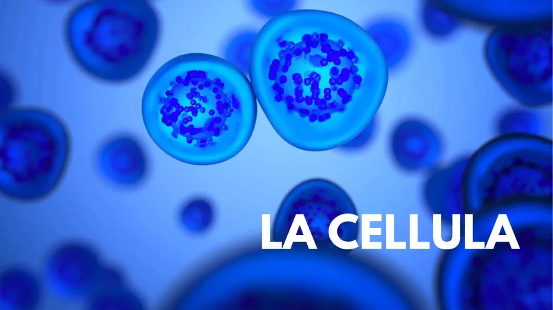 La Cellula