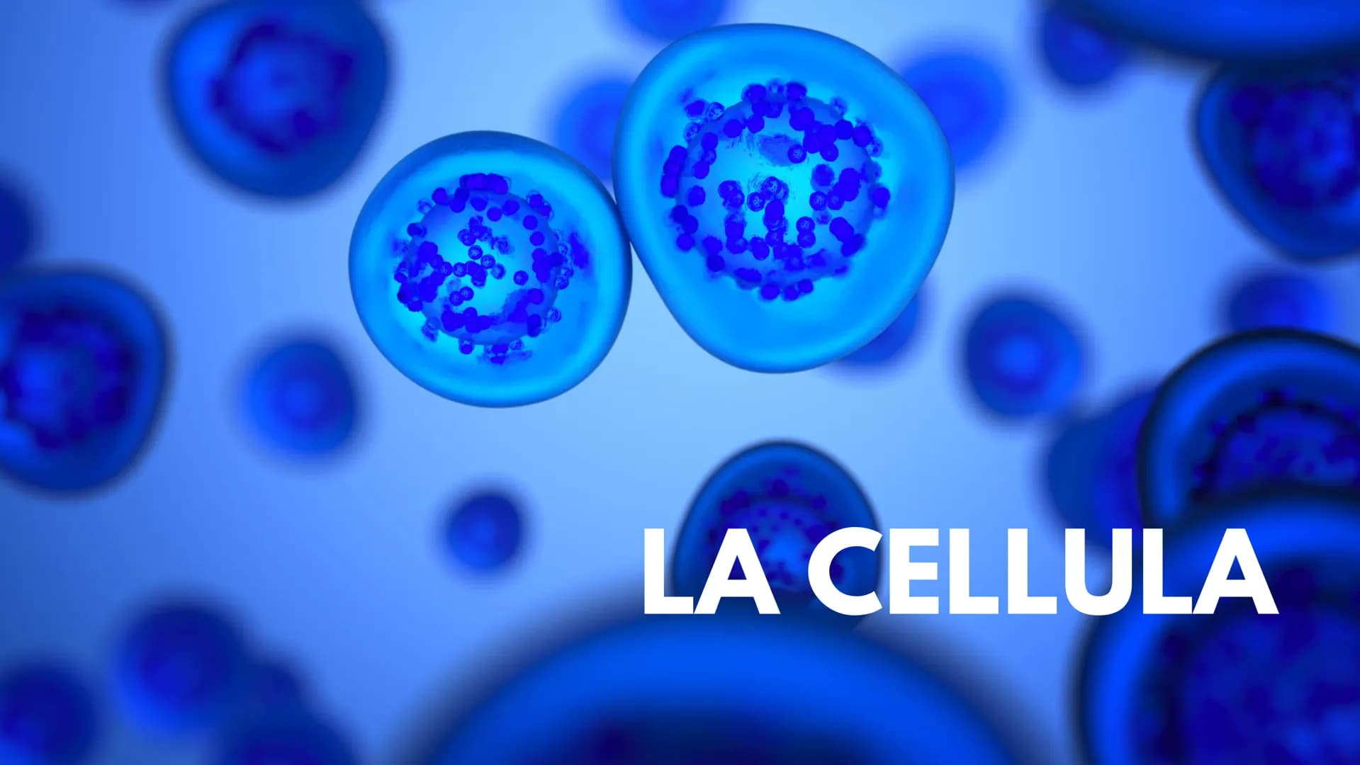 LA CELLULA La cellula è la più piccola unità morfologica è funzionale di tutti gli
esseri viventi. Ogni cellula può essere considerata come 