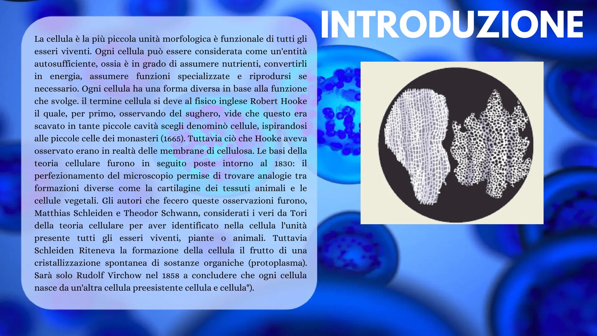 LA CELLULA La cellula è la più piccola unità morfologica è funzionale di tutti gli
esseri viventi. Ogni cellula può essere considerata come 