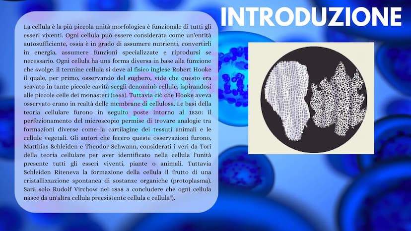 LA CELLULA La cellula è la più piccola unità morfologica è funzionale di tutti gli
esseri viventi. Ogni cellula può essere considerata come 
