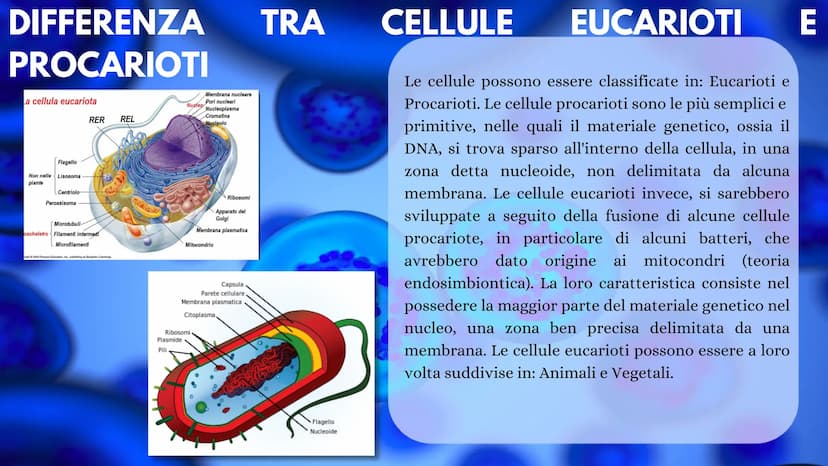 LA CELLULA La cellula è la più piccola unità morfologica è funzionale di tutti gli
esseri viventi. Ogni cellula può essere considerata come 