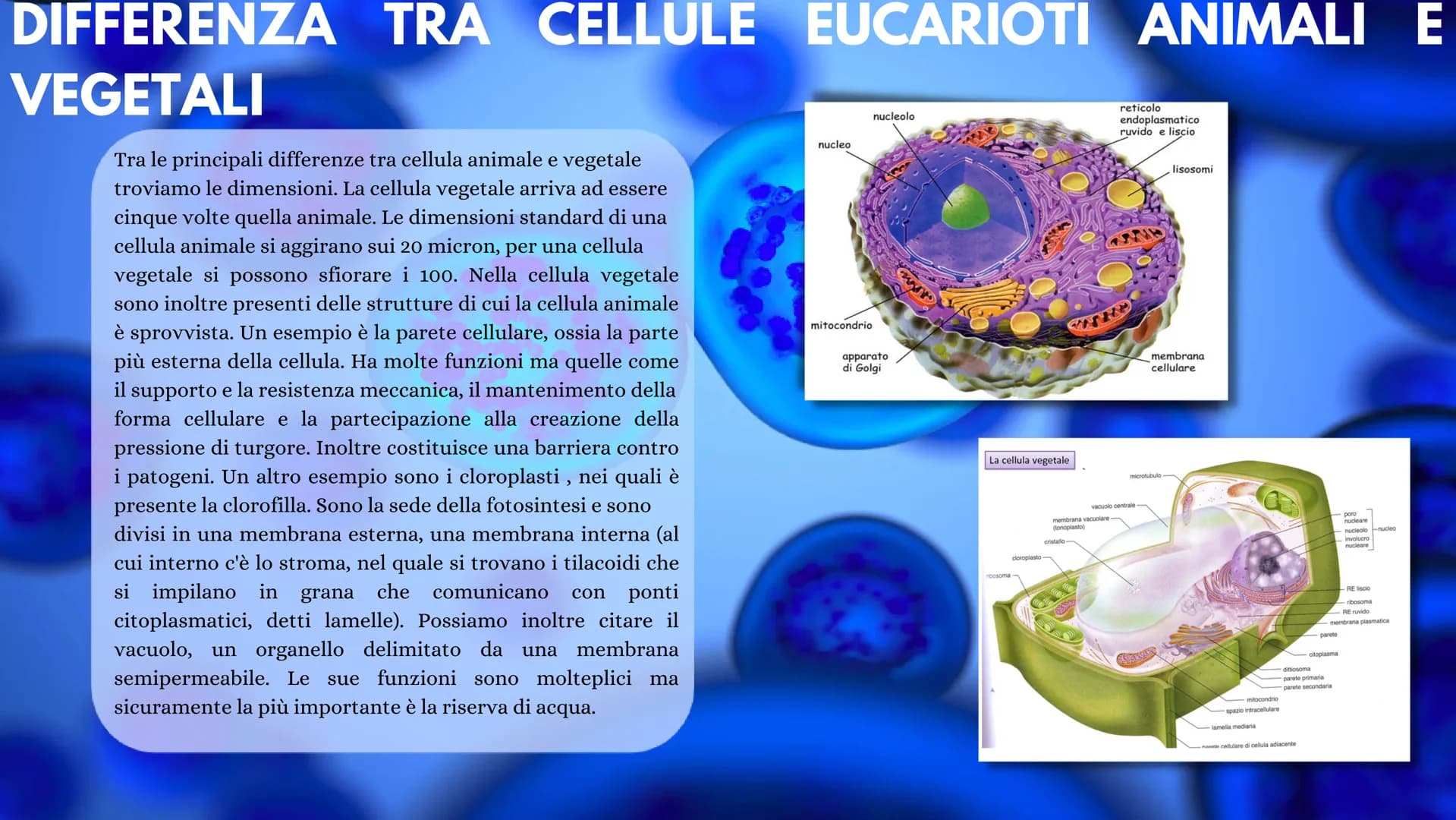 LA CELLULA La cellula è la più piccola unità morfologica è funzionale di tutti gli
esseri viventi. Ogni cellula può essere considerata come 