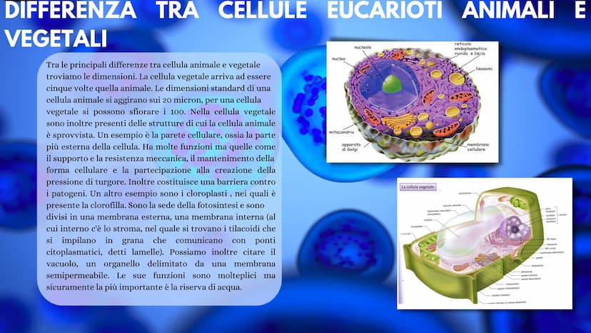 LA CELLULA La cellula è la più piccola unità morfologica è funzionale di tutti gli
esseri viventi. Ogni cellula può essere considerata come 
