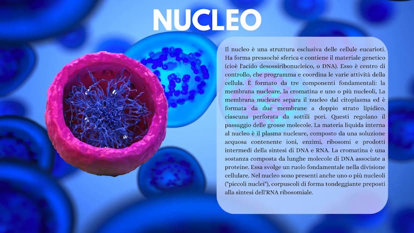 LA CELLULA La cellula è la più piccola unità morfologica è funzionale di tutti gli
esseri viventi. Ogni cellula può essere considerata come 