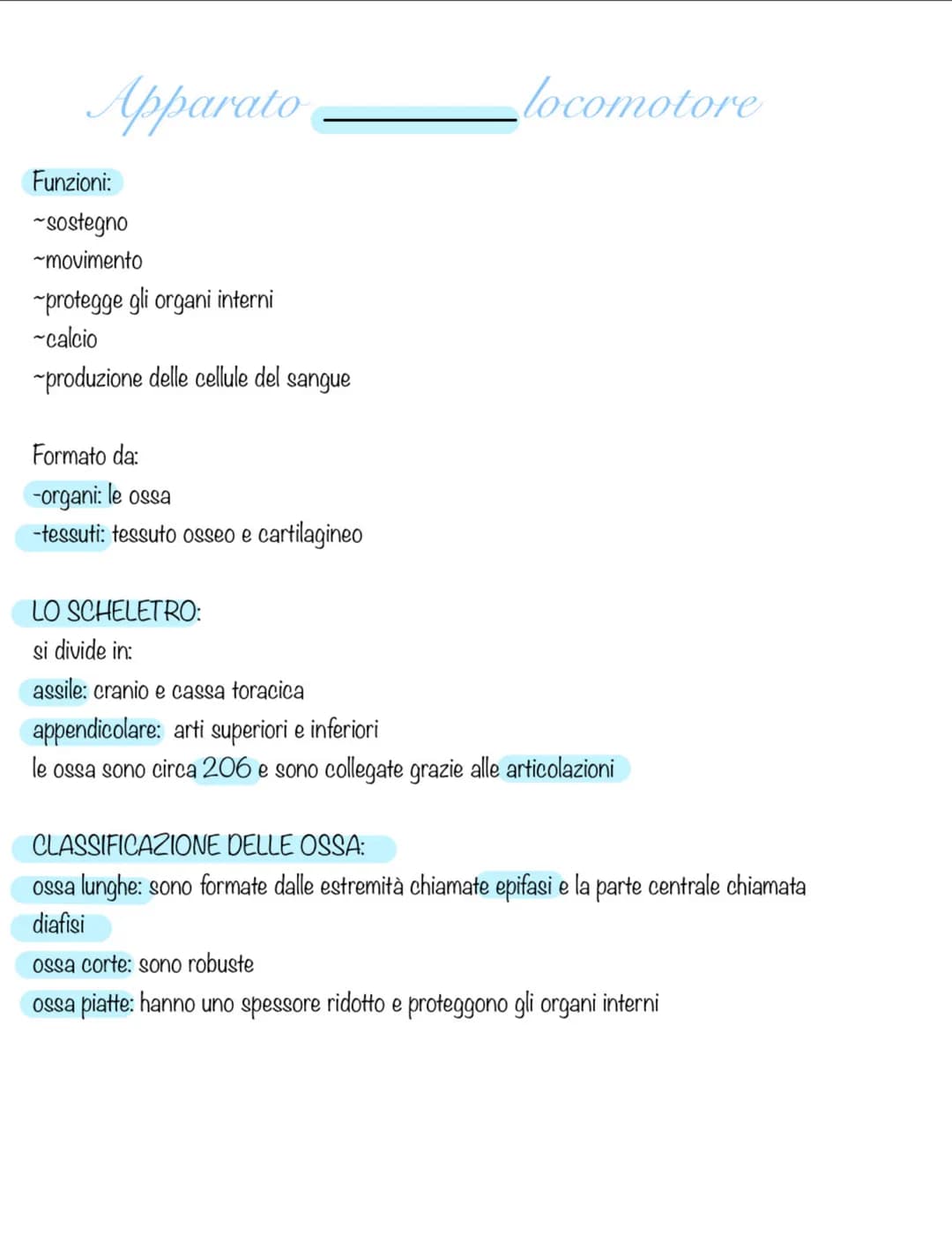 TESSUTO OSSEO:
è formato da osteociti immersi in una sostanza composta da osseina che rende le ossa
elastiche, e sali minerali (calcio) che 
