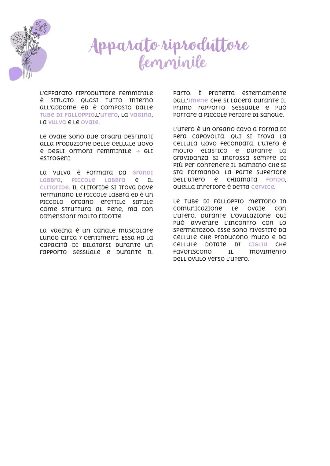 
<p>Nella specie umana, la riproduzione è di tipo sessuale. Ciò significa che due individui di sesso diverso danno vita ad un individuo a lo