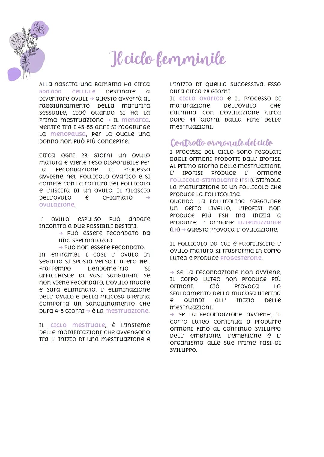 
<p>Nella specie umana, la riproduzione è di tipo sessuale. Ciò significa che due individui di sesso diverso danno vita ad un individuo a lo