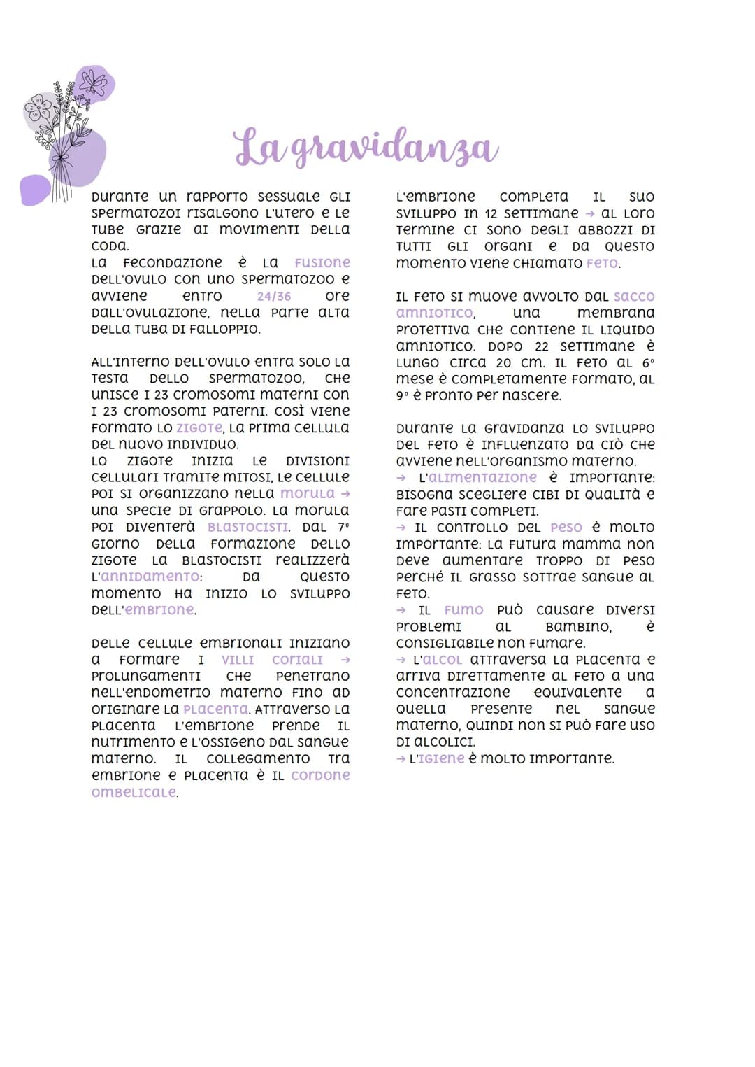 
<p>Nella specie umana, la riproduzione è di tipo sessuale. Ciò significa che due individui di sesso diverso danno vita ad un individuo a lo