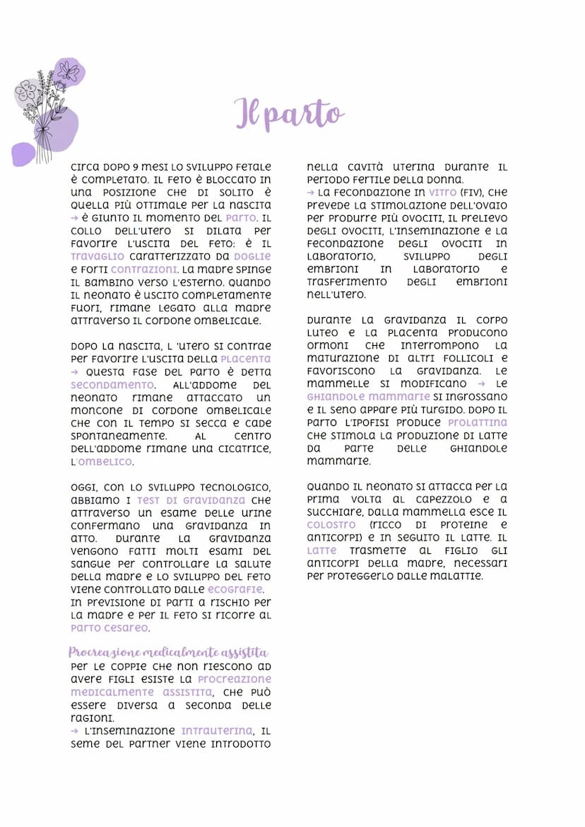 
<p>Nella specie umana, la riproduzione è di tipo sessuale. Ciò significa che due individui di sesso diverso danno vita ad un individuo a lo