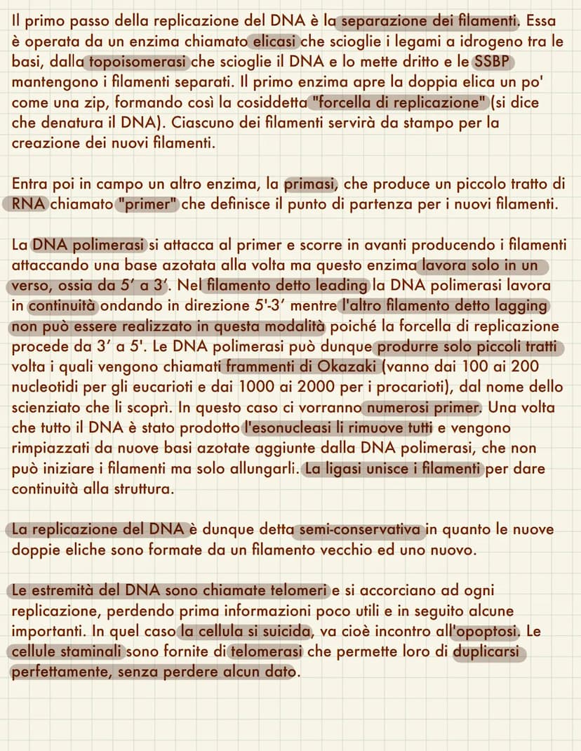  Replicazione del DNA
Il ciclo cellulare avviene quando una cellula si divide in due cellule figlie, questo
coincide necessariamente con la 