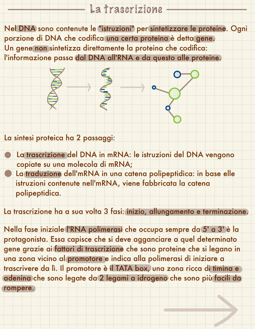  Replicazione del DNA
Il ciclo cellulare avviene quando una cellula si divide in due cellule figlie, questo
coincide necessariamente con la 