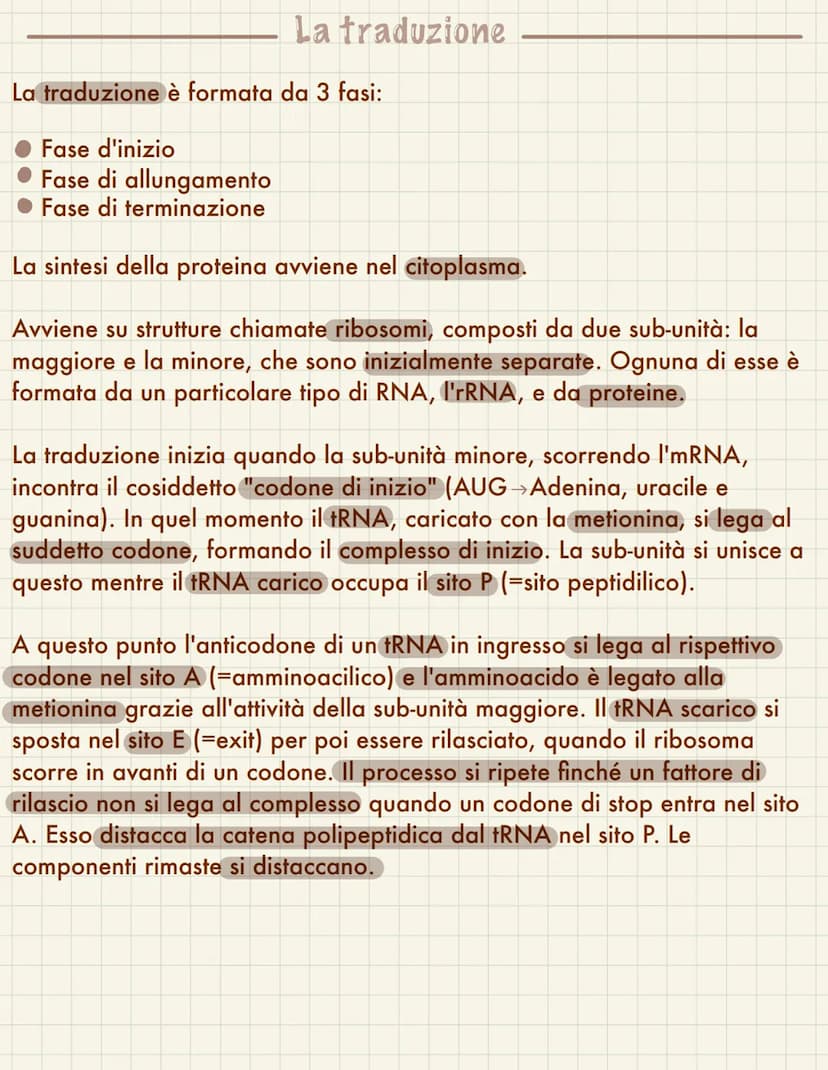  Replicazione del DNA
Il ciclo cellulare avviene quando una cellula si divide in due cellule figlie, questo
coincide necessariamente con la 