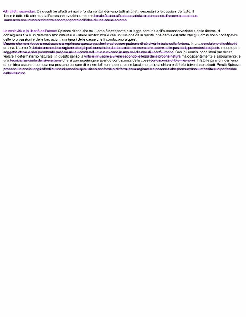 
<p>Baruch de Spinoza nacque ad Amsterdam in Olanda il 24 novembre 1632 da una famiglia ebraica fuggita dalla Spagna a causa dell'intolleran