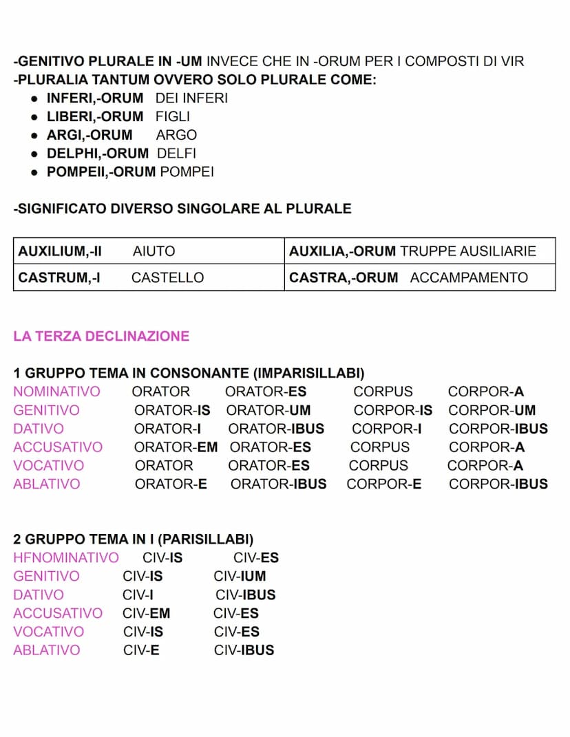 LA PRIMA DECLINAZIONE
VOCALE TEMATICA A
Ros-A
LA
Ros-AE
DELLA
Ros-AE ALLA
Ros-AM
LA
Ros-A
O
Ros-A
CON
NOMINATIVO
GENITIVO
DATIVO
ACCUSATIVO
