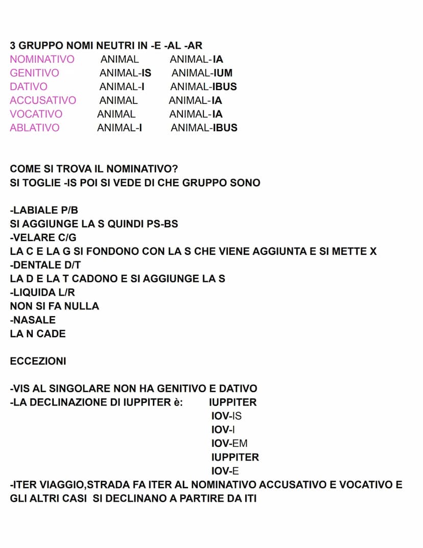 LA PRIMA DECLINAZIONE
VOCALE TEMATICA A
Ros-A
LA
Ros-AE
DELLA
Ros-AE ALLA
Ros-AM
LA
Ros-A
O
Ros-A
CON
NOMINATIVO
GENITIVO
DATIVO
ACCUSATIVO
