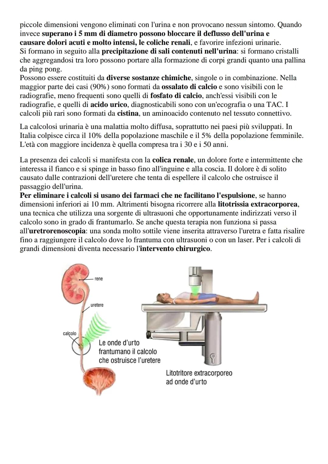 Apparato urinario o escretore
L'apparato urinario (o escretore) è l'insieme degli organi e delle strutture il cui compito
è quello di filtra