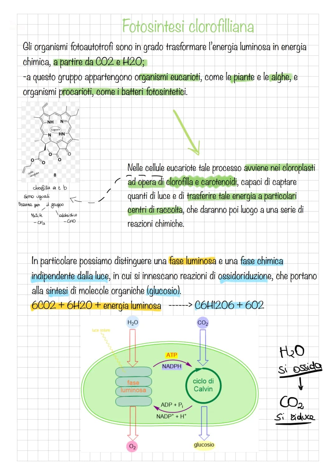 Fotosintesi clorofilliana
Gli organismi fotoautotrofi sono in grado trasformare l'energia luminosa in energia
chimica, a partire da CO2 e H2