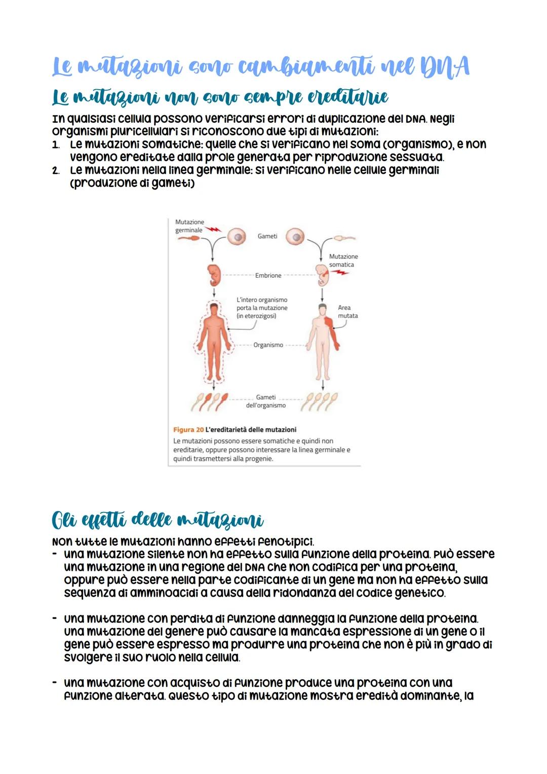 L'espressione genetica: dal DNA
alle proteine
è descritta con
l'espressione «un gene,
un polipeptide>>
LEZIONE 1
la trascrizione
LEZIONE 3
L