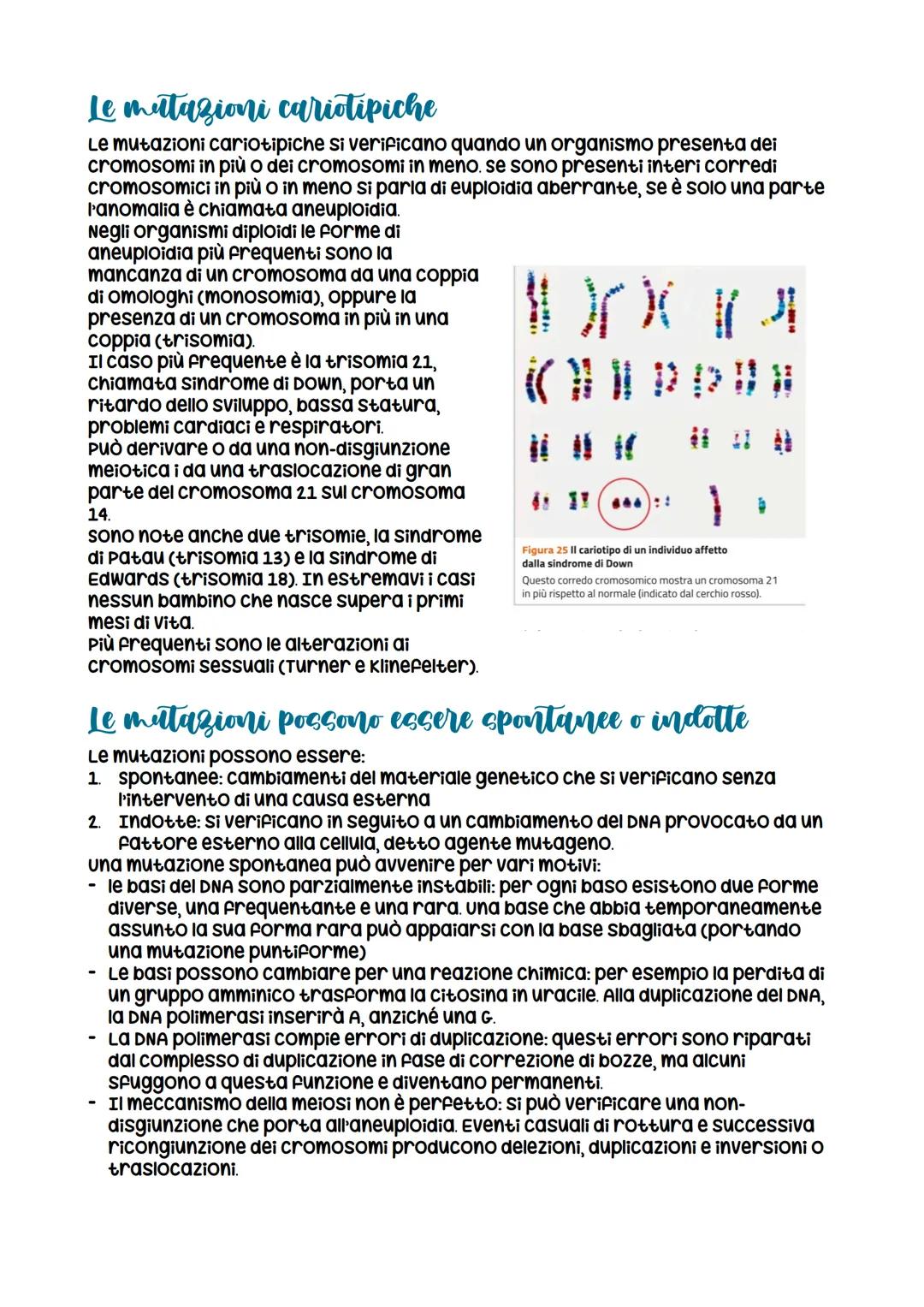 L'espressione genetica: dal DNA
alle proteine
è descritta con
l'espressione «un gene,
un polipeptide>>
LEZIONE 1
la trascrizione
LEZIONE 3
L