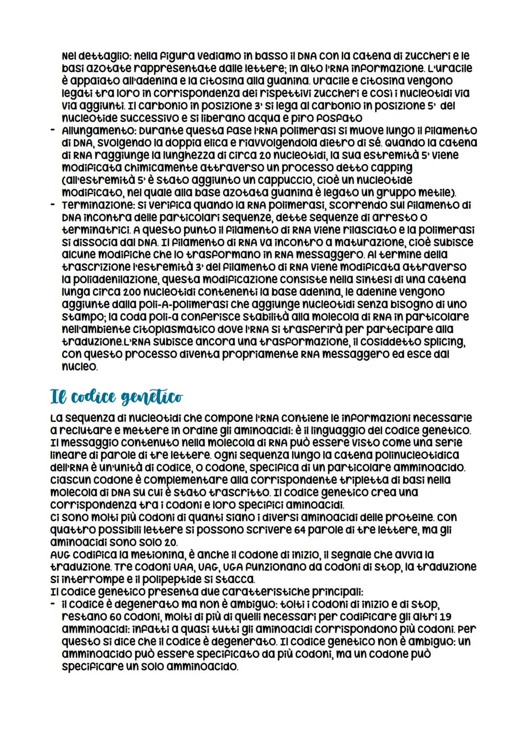 L'espressione genetica: dal DNA
alle proteine
è descritta con
l'espressione «un gene,
un polipeptide>>
LEZIONE 1
la trascrizione
LEZIONE 3
L