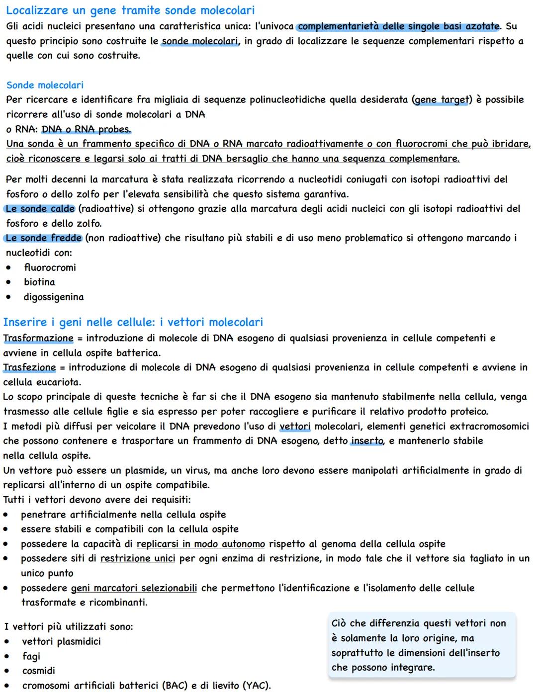 # Agire sul DNA: Le biotecnologie

Origine ed evoluzione delle biotecnologie

Con il termine biotecnologia si fa riferimento alla scienza ch