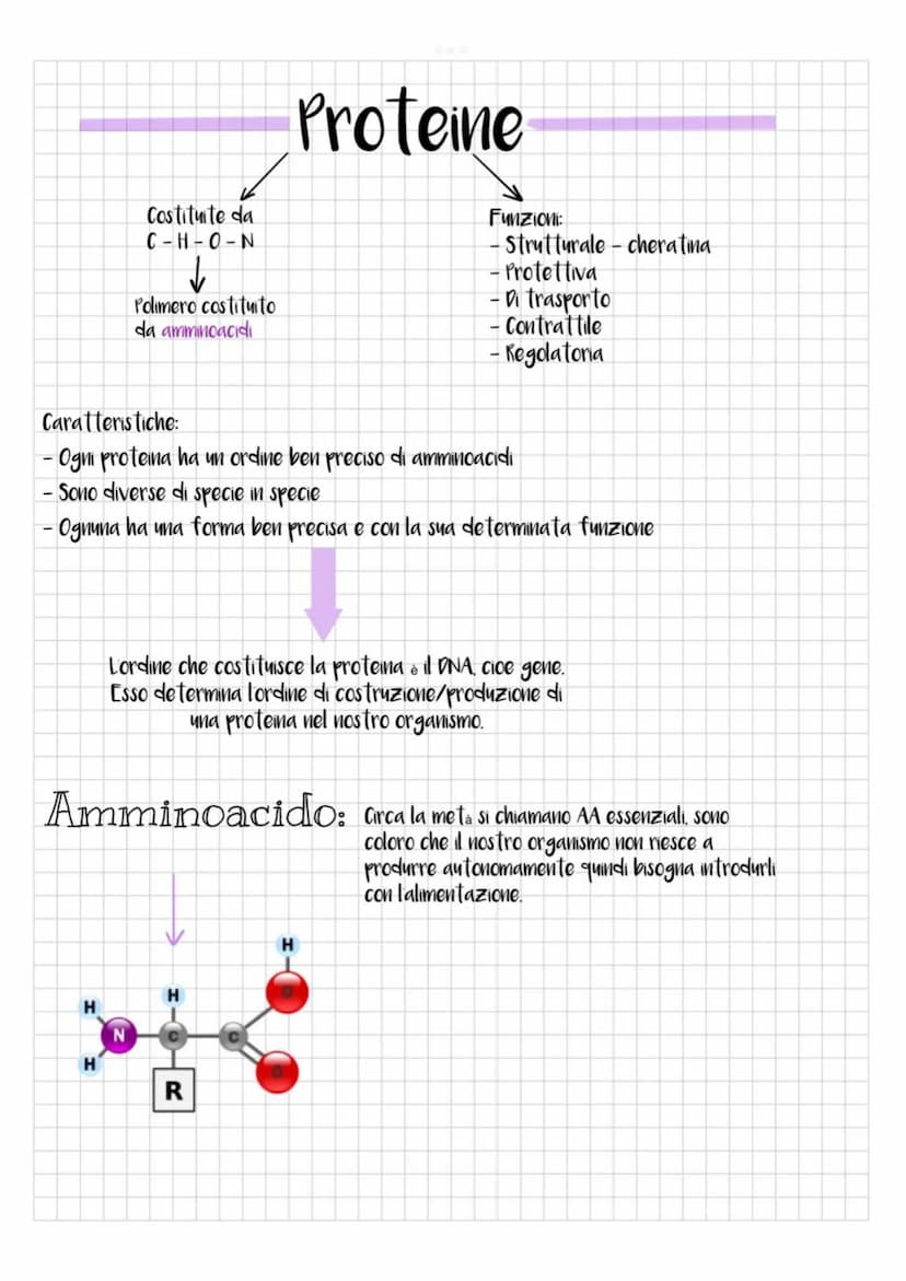 TIPIC
-Carboidrati
~ zuccheri ~
昙
Riserve energetiche
Semplici: ottenuti tramite idrolisi
Complessi: ottenuti tramite condensazione
pentosi
